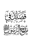 Digitised Arabic calligraphy